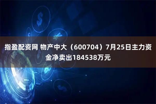 指盈配资网 物产中大（600704）7月25日主力资金净卖出184538万元