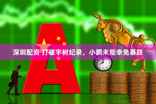 深圳配资 打破宇树纪录，小鹏未能幸免暴跌